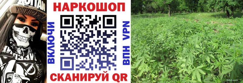 Где купить наркотики Чайковский КОКАИН  Каннабис  Мефедрон  Псилоцибиновые грибы  МЕГА зеркало  Гашиш 