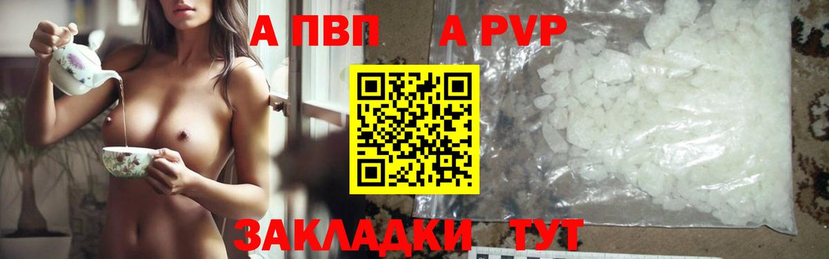 Альфа ПВП СК КРИС Чайковский