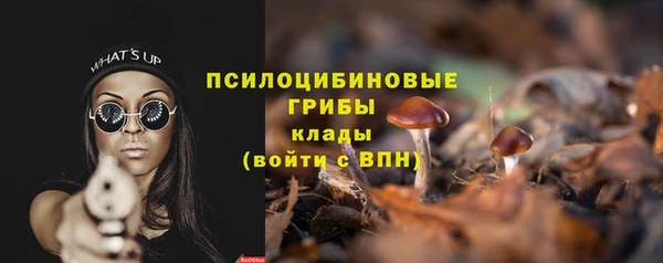 a pvp Арсеньев