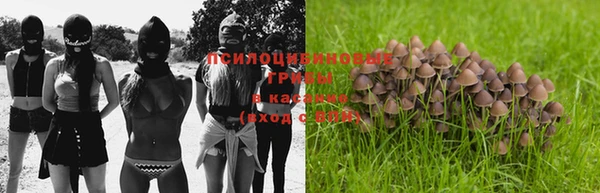 круглые Аркадак