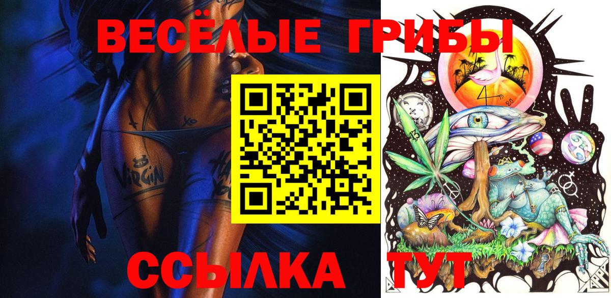 Псилоцибиновые грибы MAGIC MUSHROOMS Чайковский