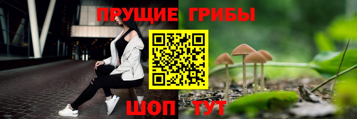 Галлюциногенные грибы Cubensis  Вход с VPN  Чайковский  Галлюциногенные грибы GOLDEN TEACHER 